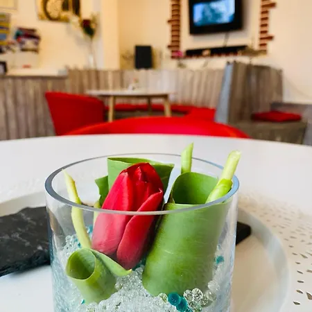 Casa de hóspedes K.krause