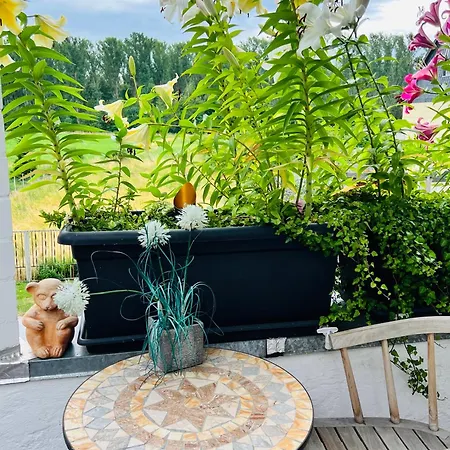 K.krause Casa de hóspedes Salzgitter